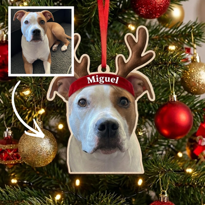 Pawmas Custom Pet Face Christmas Ornament